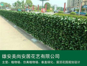 仿真植物墻 雄安美尚安居景觀工程的設(shè)計(jì)、施工與價(jià)格指南