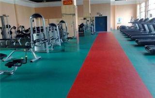 塑膠地板多少錢一平方 四大優(yōu)點(diǎn)鑄就塑膠地板非凡品質(zhì)